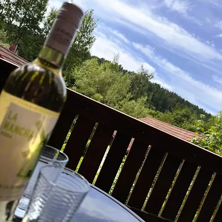 Ruhiges Cozy Im Bayerischen Wald Wifi アパート Grafenwiesen