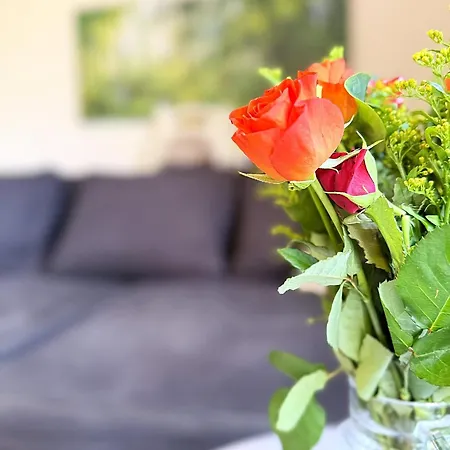 Appartamento Ruhiges Cozy Im Bayerischen Wald Wifi Grafenwiesen