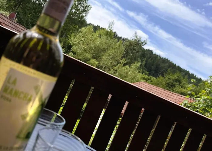 Ruhiges Cozy Im Bayerischen Wald Wifi Daire Grafenwiesen
